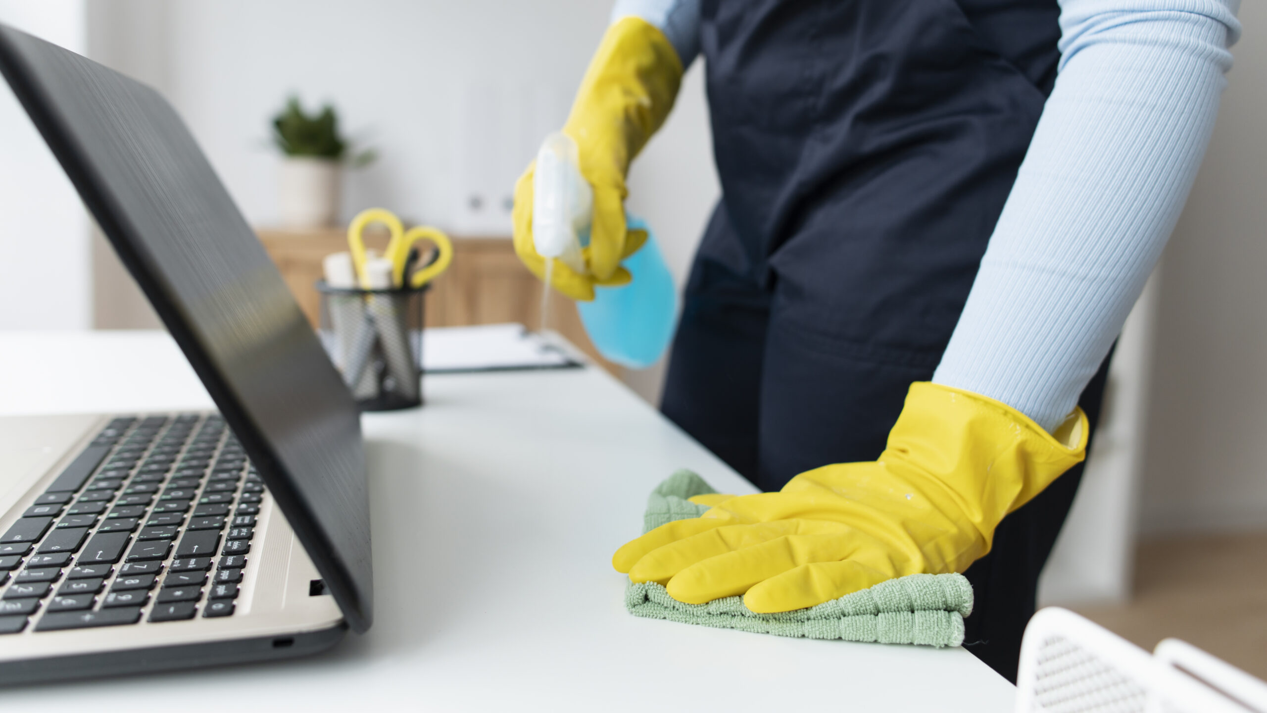 cleaning services richmond virginia
